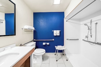 Room, 1 King Bed, Accessible (Mobility, Roll-In Shower)