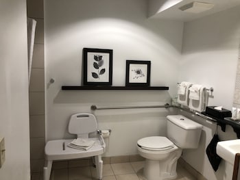 Room, 1 Queen Bed, Accessible, Non Smoking (Roll-in Shower)