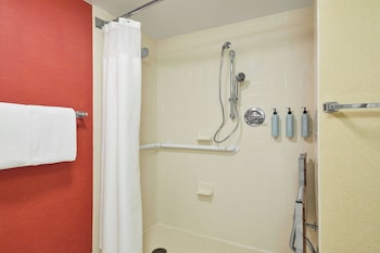 Room, 1 King Bed with Sofa bed (Mobility/Hearing Access, Transf Shwr)