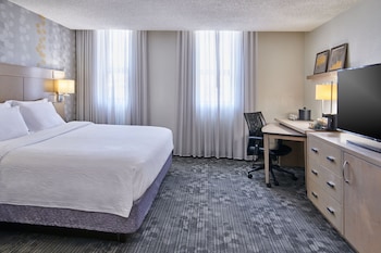 Room, 1 King Bed