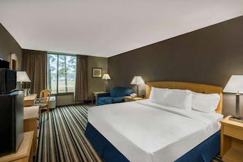 Superior Room, 1 King Bed, Non Smoking