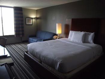 Room, 1 King Bed, Non Smoking