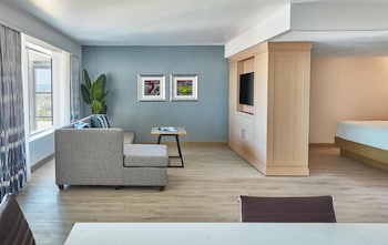 Executive Suite, 1 King Bed with Sofa bed