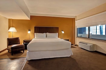 Room, 1 King Bed