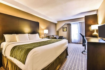 Standard Room, 1 King Bed with Sofa bed, Ground Floor