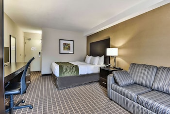 Comfort Care, Standard Room, 1 Queen Bed with Sofa bed