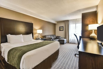 Standard Room, 1 King Bed with Sofa bed, Ground Floor