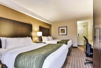 Room, 2 Queen Beds, Ground Floor