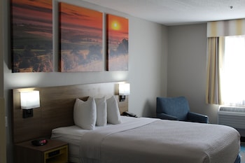 Room, 1 King Bed, Non Smoking (Pet-Friendly)