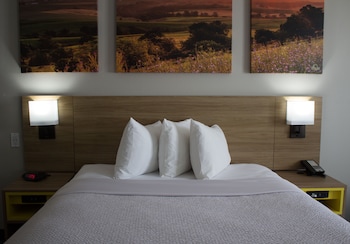Room, 1 King Bed, Non Smoking (Pet-Friendly)