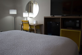 Room, 1 King Bed, Non Smoking (Pet-Friendly)