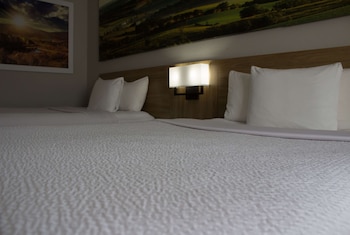 Room, 2 Queen Beds, Non Smoking (Pet-Friendly)