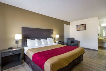 Room, 1 King Bed, Accessible, Non Smoking