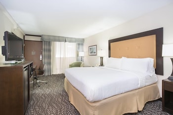 Room, 1 King Bed, Non Smoking