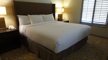 Room, 1 King Bed, Accessible, Bathtub (Mobility & Hearing)