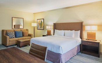 Room, 1 King Bed, Pool View