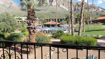 Room, 1 King Bed, Pool View