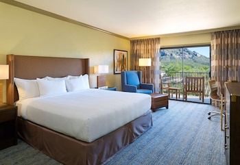 Room, 1 King Bed, Mountain View