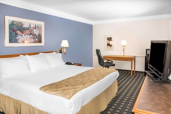 Room, 1 King Bed, Accessible, Non Smoking (Tub with Grab Bars)