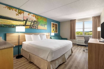 Business Single Room, 1 King Bed