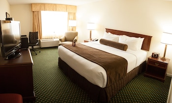 Standard Room, 1 King Bed (Bath Shower Combination)