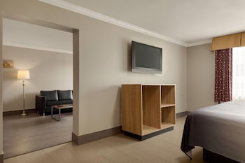 Deluxe Suite, 1 King Bed, Non Smoking