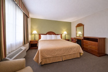 Room, 1 King Bed, Smoking