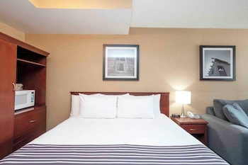 Standard Room, 1 King Bed