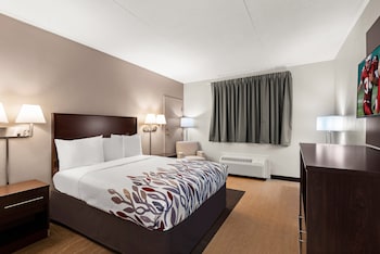 Superior Room, 1 King Bed, Accessible, Non Smoking (Roll-In Shower)
