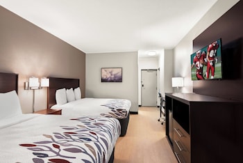Superior Room, 2 Queen Beds, Non Smoking