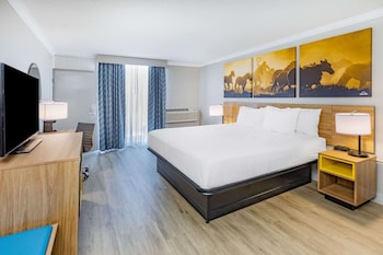 Deluxe Room, 1 King Bed, Accessible, Non Smoking (Mobility Accessible)