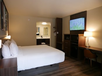 Superior Room, 1 King Bed, Non Smoking