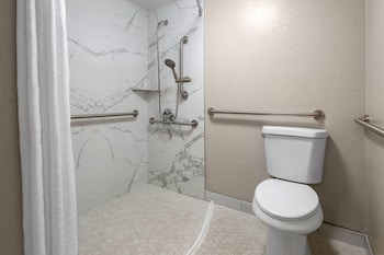 Room, 1 King Bed, Accessible, Non Smoking (Roll-In Shower)