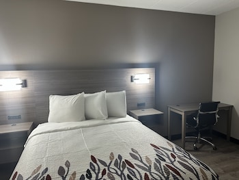 Superior Room, 1 Queen Bed, Accessible, Non Smoking (Roll-In Shower)