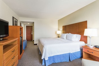 Room, 1 King Bed, Non Smoking (Water View)