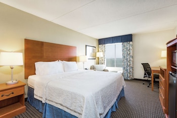 Room, 1 King Bed, Non Smoking (Water View)
