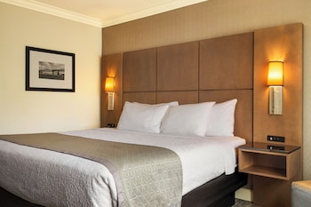 Standard Room, 1 King Bed, Non Smoking, Microwave