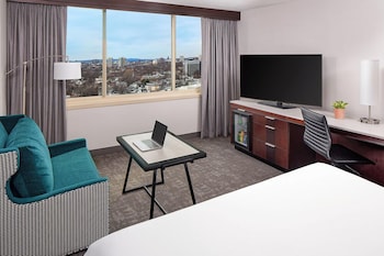 Room, 1 King Bed