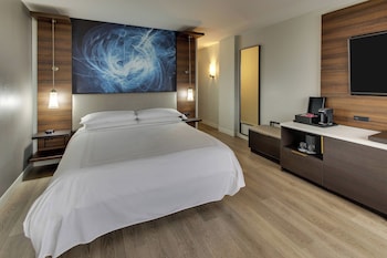 Room, 1 King Bed (Mobility/Hearing Access, Transf Shwr)