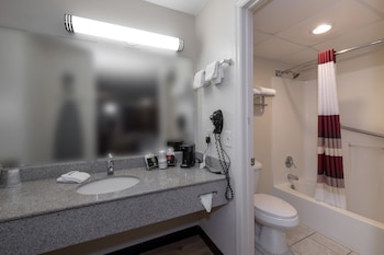 Deluxe Room, 1 Queen Bed, Smoking (First Floor)