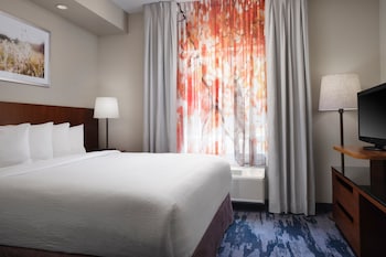 Suite, 1 King Bed with Sofa bed