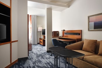 Suite, 1 King Bed with Sofa bed