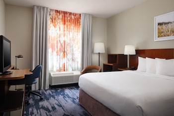 Room, 1 King Bed, Roll-in Shower