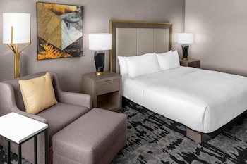 Room, 1 King Bed, Accessible, Bathtub (Mobility & Hearing)