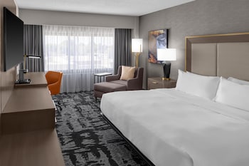 Room, 1 King Bed, Accessible, Bathtub (Mobility & Hearing)