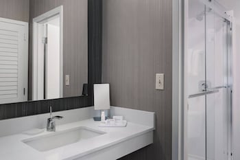 Suite, 1 King Bed with Sofa bed (Hearing Accessible)