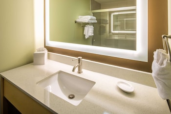 Suite, 1 King Bed with Sofa bed, Accessible, Non Smoking