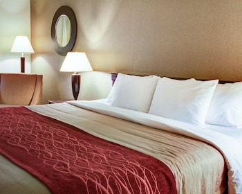 Standard Room, 1 King Bed, Non Smoking