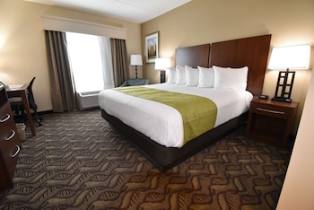 Standard Room, 1 King Bed, Non Smoking, Refrigerator & Microwave (Main Tower)