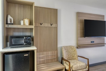 Standard Room, 1 King Bed, Non Smoking, Refrigerator & Microwave (Larger Room)